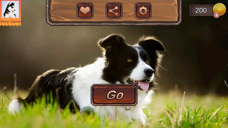 Border Collie Simulator स्क्रीनशॉट 2