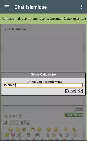 islam.bf Capture d'écran 3