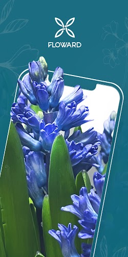 Floward Online Flowers & Gifts Screenshot 0