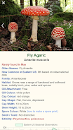 Shroomify - USA Mushroom ID Screenshot 0