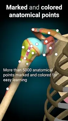 Anatomy Learning - 3D Anatomy Capture d'écran 2