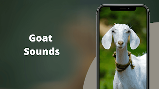 Goat Sounds Schermafbeelding 0