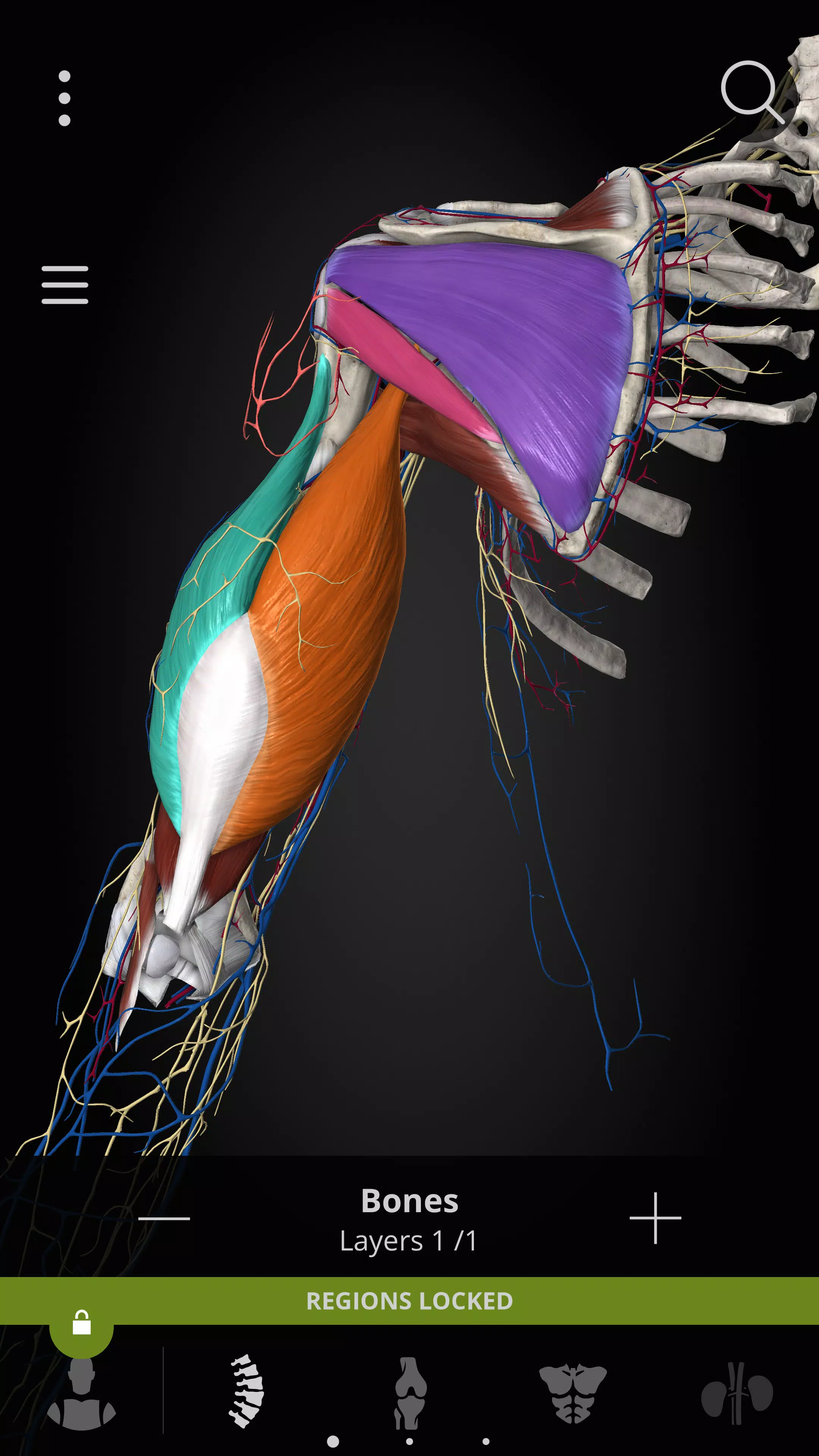 Anatomyka - 3D Anatomy Atlas 螢幕截圖 3