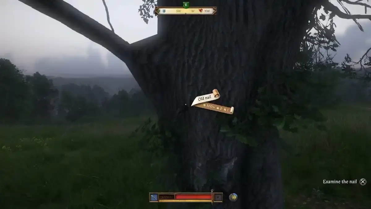 Image: Screenshot showing the nail in the tree