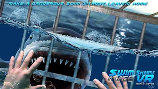 Swim Sharks Cage VR Simulator Ekran Görüntüsü 1