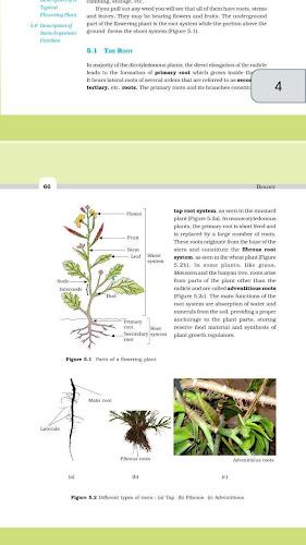 Class 11 Biology NCERT Book Скриншот 1