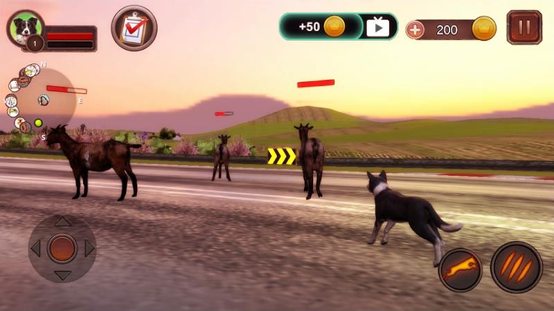 Border Collie Simulator स्क्रीनशॉट 1