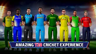 Indian Cricket Championship Zrzut ekranu 2