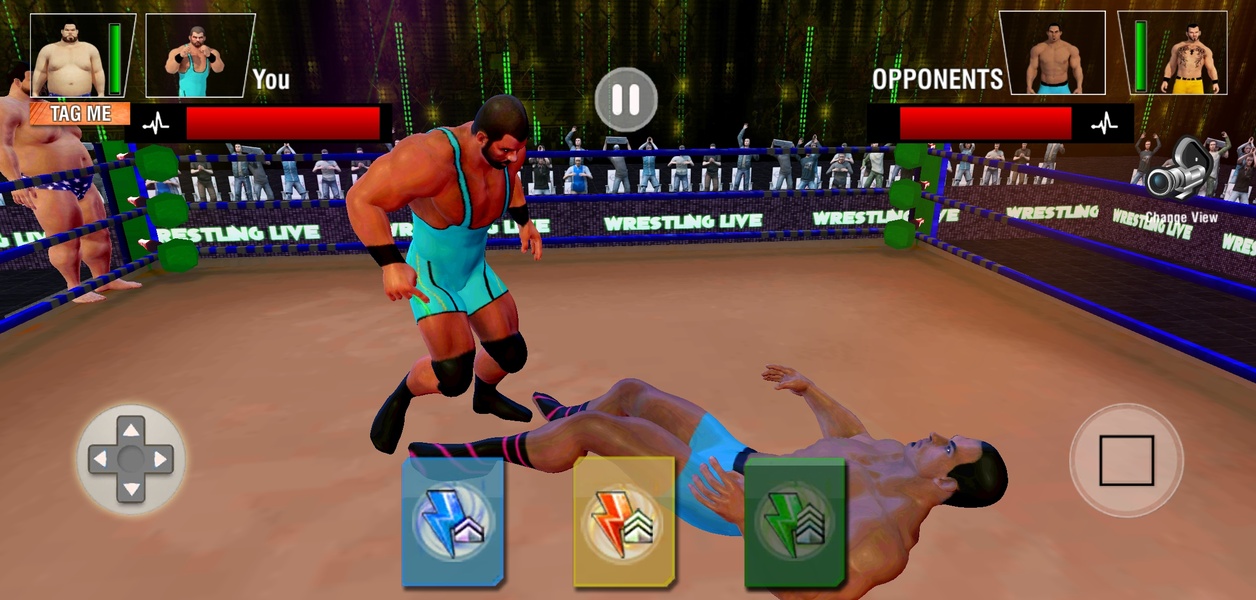 Tag Team Wrestling Games: Mega Cage Ring Fighting Screenshot 1