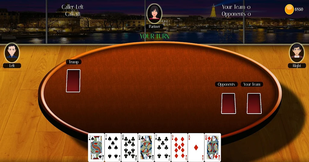 29 Card Game Lite 螢幕截圖 2