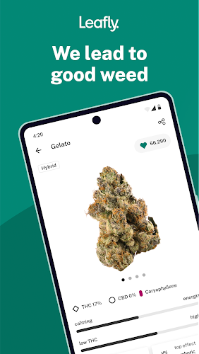 Leafly: Find Cannabis and CBD应用截图第0张