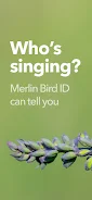 Merlin Bird ID par Cornell Lab Capture d'écran 3