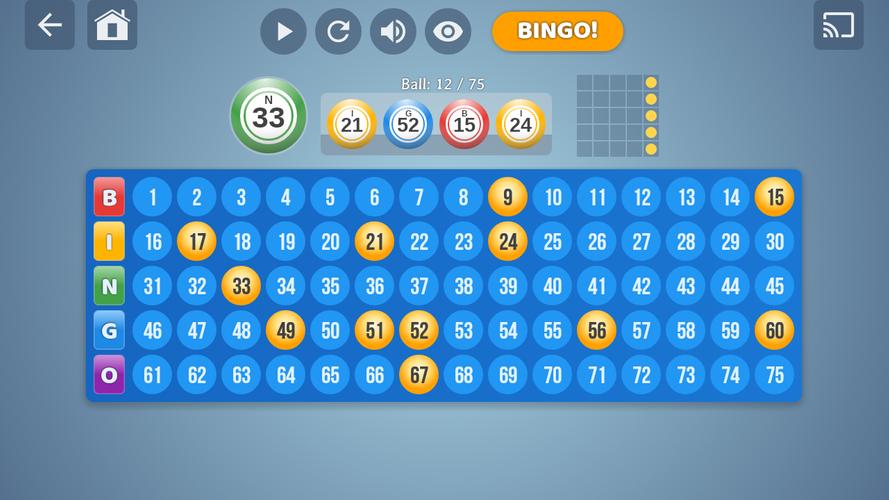 Bingo Set应用截图第3张
