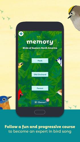 Birdie Memory Ảnh chụp màn hình 3