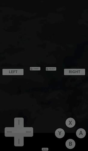Fast DS Emulator - For Android स्क्रीनशॉट 1